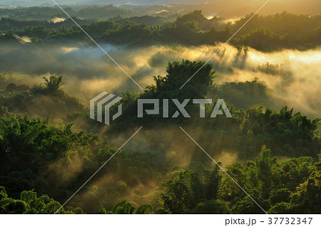 台湾 日の出 朝焼け 37732347