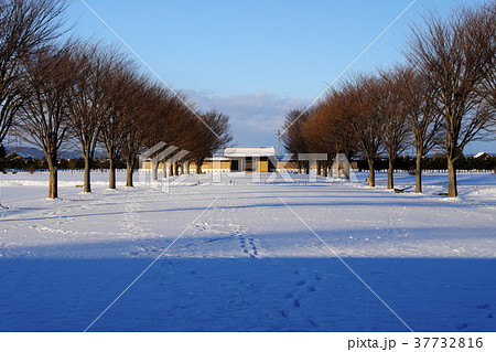 厳冬の志波城古代公園　最北端の古代城柵 37732816