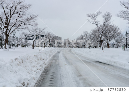 雪道 37732830