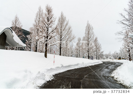 雪道 37732834