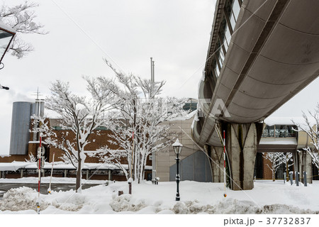 雪道 37732837