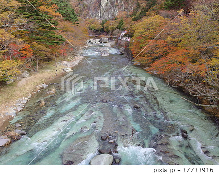 那須塩原　秋 37733916