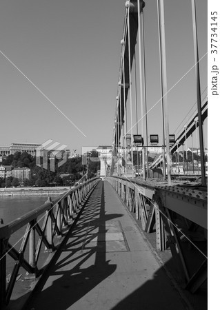 Black and white photo of Chain bridge in Budapest Black and white photo of Chain bridge in Budapest 37734145