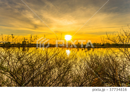 Morning at the water reservoir.4 Morning at the water reservoir.4 37734816