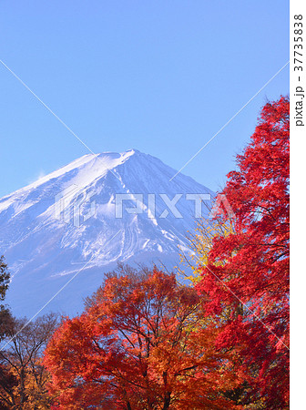 もみじ回廊からの秋の風景-778044 37735838