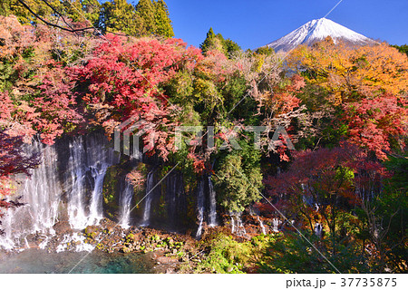 白糸の滝の紅葉と富士山 の写真素材