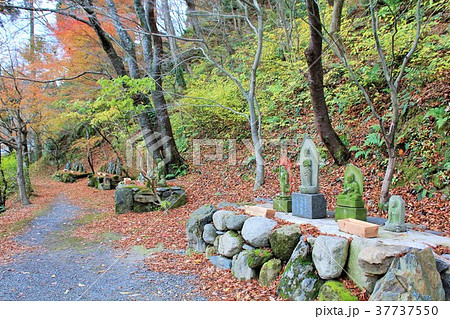 呑山観音寺のせせらぎの小径（篠栗町） 37737550