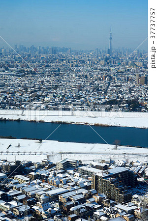 千葉県 白い大都会 大雪の翌日の写真素材