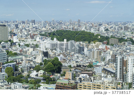 東京風景　巣鴨　駒込　田端　方面 37738517