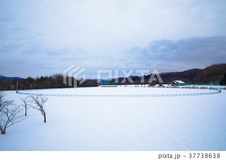 御所大橋運運動場の雪景色 37738638