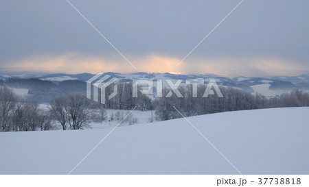 北海道美瑛の雪原の夜明け 37738818