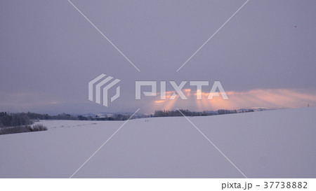北海道美瑛の雪原の夜明け 北海道美瑛の雪原の夜明け 37738882