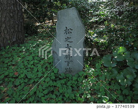 江戸城　松の廊下跡 37740539