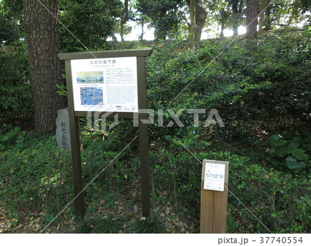 江戸城　松の廊下跡 37740554