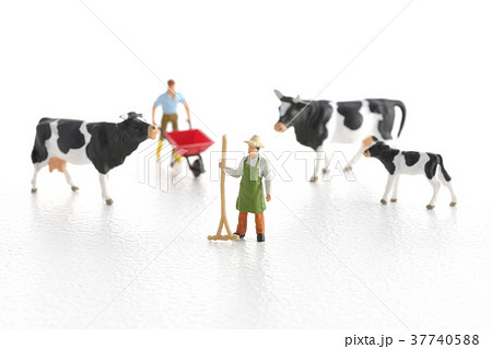 酪農 酪農 37740588