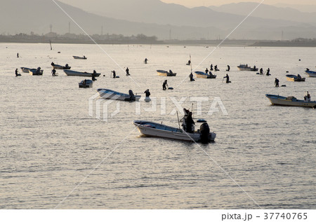 貝採取漁業の風景 37740765