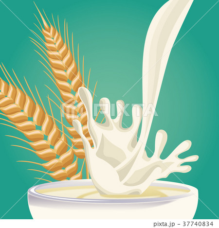 Oatmeal healthy food 37740834