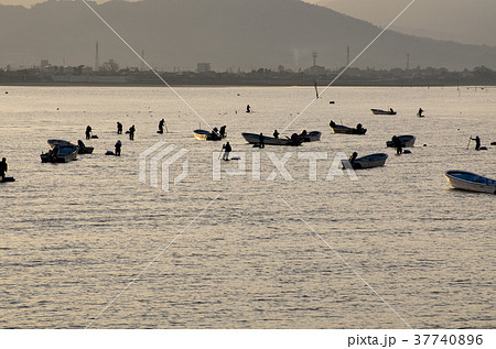 貝採取漁業の風景 貝採取漁業の風景 37740896