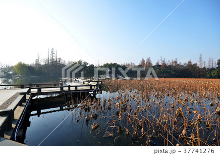Winter on West Lake, Hangzhou. 37741276