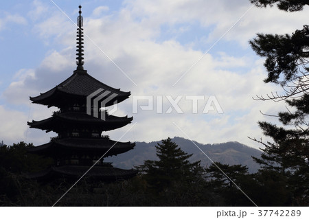 興福寺の五重塔 37742289
