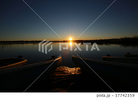 印旛沼の日の出 37742359