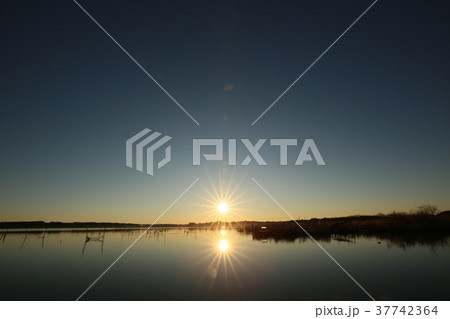 印旛沼の朝 印旛沼の朝 37742364