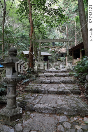 天の岩戸 37742521