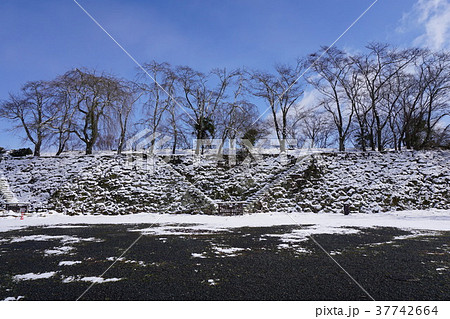 雪の岡山県津山市の桜の名所「鶴山公園(津山城趾)」:本丸から月見櫓、矢切櫓跡、太鼓櫓跡を見る 雪の岡山県津山市の桜の名所「鶴山公園(津山城趾)」:本丸から月見櫓、矢切櫓跡、太鼓櫓跡を見る 37742664