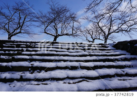 雪の岡山県津山市の桜の名所「鶴山公園（津山城趾）」：切手門跡から東方向を見上げる 37742819