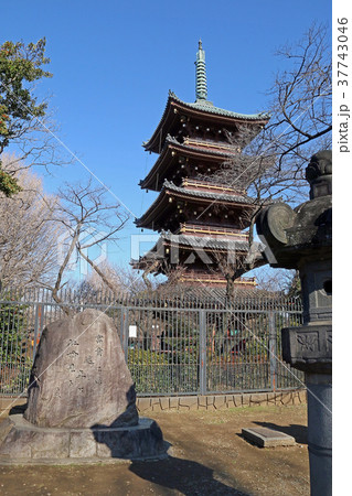 上野東照宮 上野東照宮 37743046
