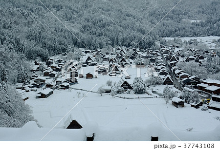 雪の白川郷合掌集落 雪の白川郷合掌集落 37743108