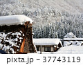 雪の白川郷合掌集落 37743119