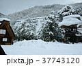 雪の白川郷合掌集落 37743120