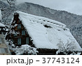 雪の白川郷合掌集落 37743124