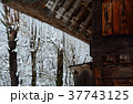 雪の白川郷合掌集落 37743125