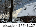 雪の白川郷合掌集落 37743127