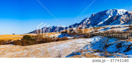 冬の阿蘇の風景 冬の阿蘇の風景 37743180