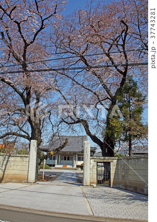 善福寺 37743281