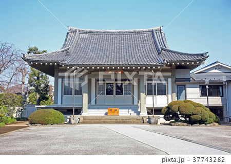 善福寺 善福寺 37743282