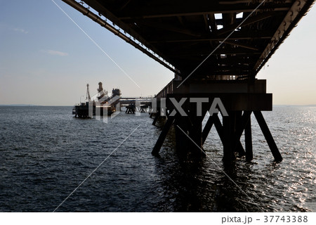 高石漁港のパイプライン 高石漁港のパイプライン 37743388