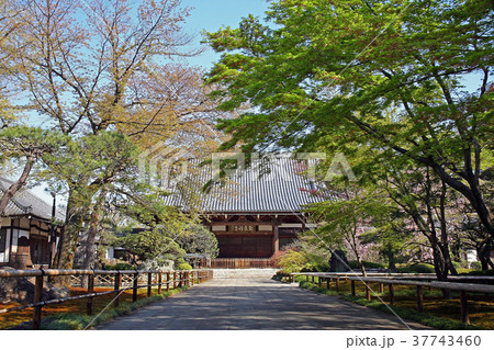観泉寺 観泉寺 37743460