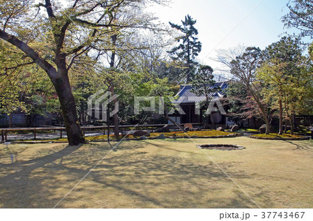 観泉寺 37743467
