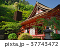 新緑の談山神社 37743472
