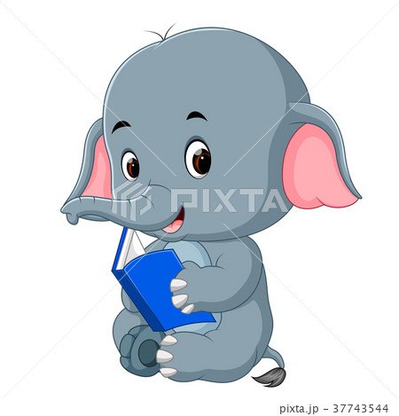 Cute elephant reading a book. Cute elephant reading a book. 37743544