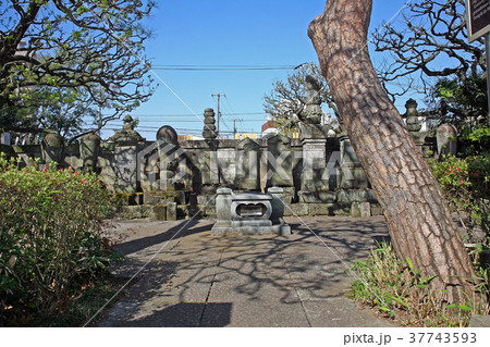 観泉寺 37743593