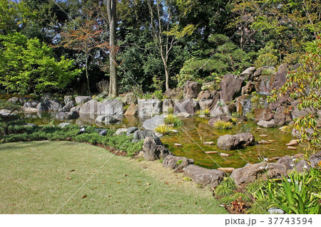 観泉寺 観泉寺 37743594