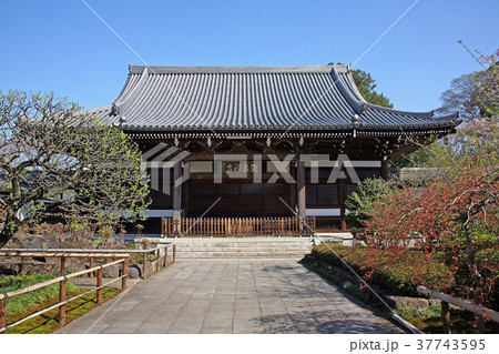 観泉寺 37743595