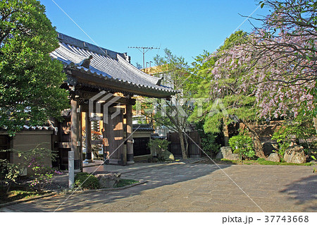 妙正寺 妙正寺 37743668