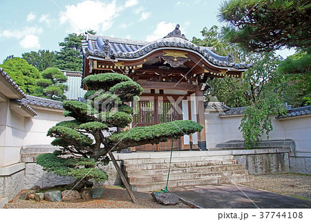 禅定院 禅定院 37744108