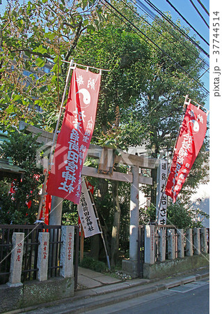 於岩稲荷田宮神社 37744514